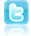 Twitter Icon